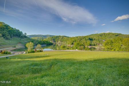 Tbd Cowan Town & Eagle Ridge Pkwy Road