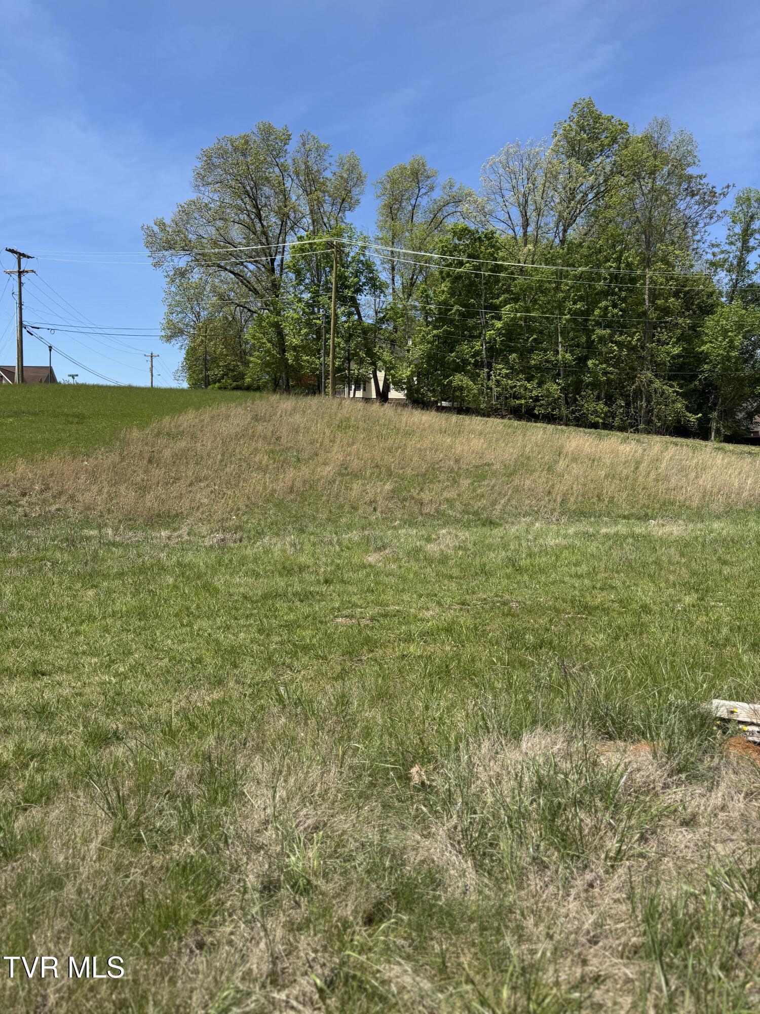 Image 3: IMG_8970