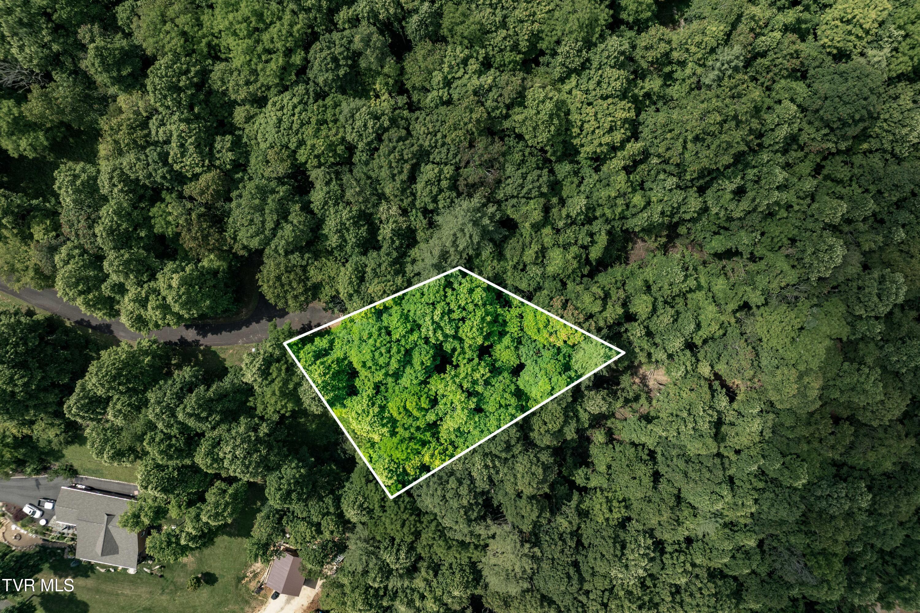 Image 1: Lot 21 (1 of 25)
