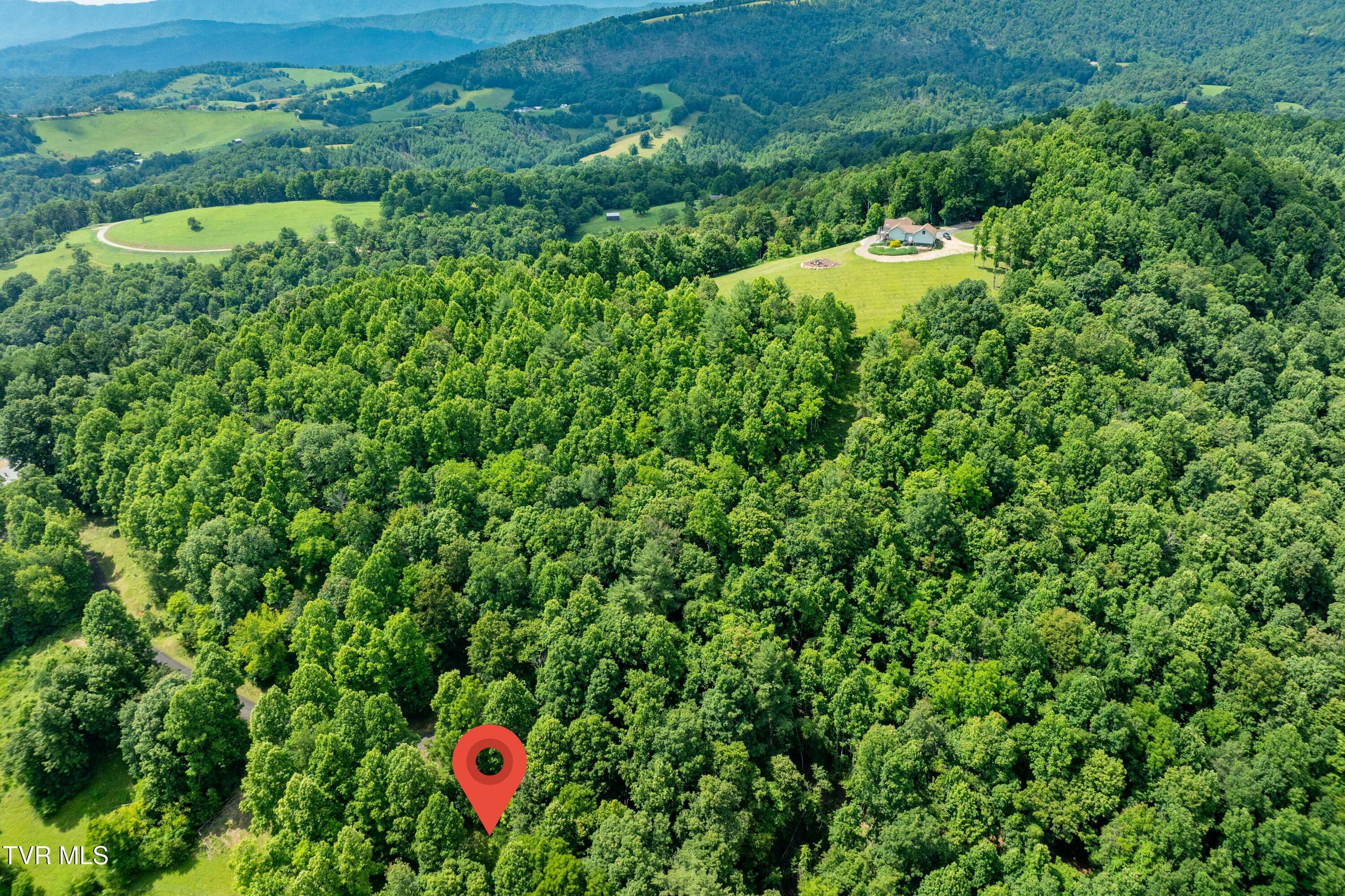 Image 3: Lot 21 (3 of 25)