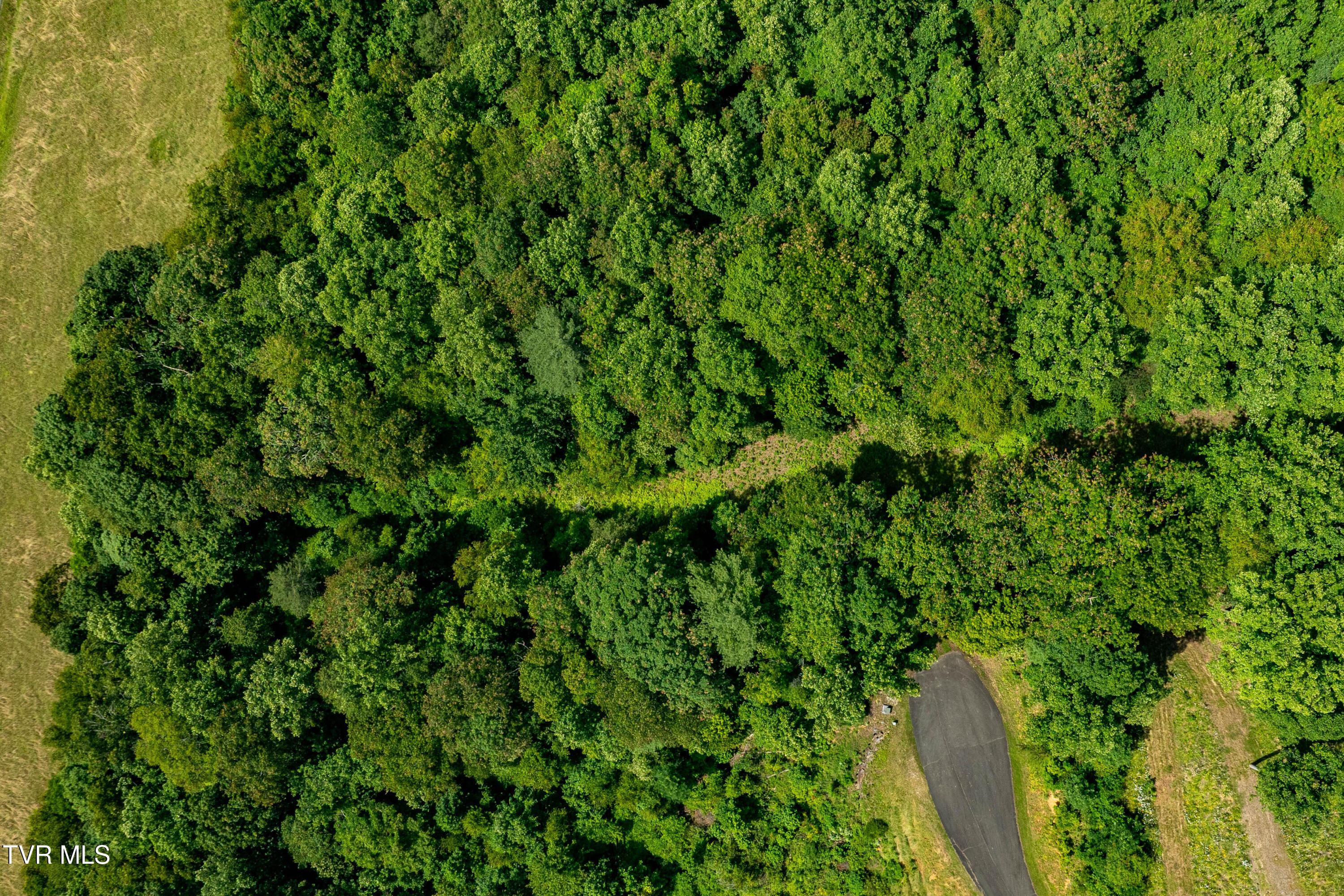 Image 2: Lot 30 (2 of 29)