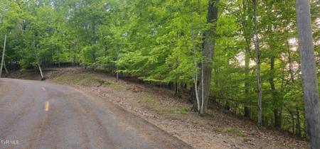 1445 Echota Lane