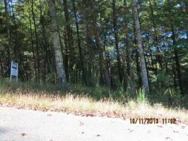 Lot 51 Norris Hollow Rd