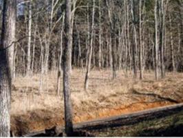 lot 25 racoon circle