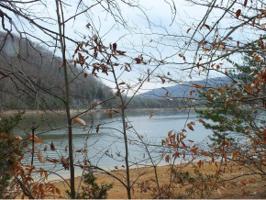 177 Walnut Bend Dr Lot 012