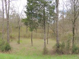 216 Walnut Bend Drive