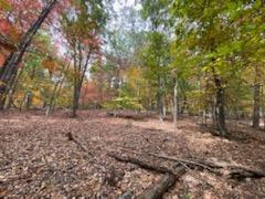 1214 Keetoowah Drive