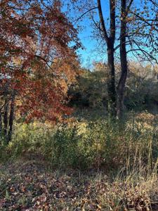 Tbd Ford Avenue