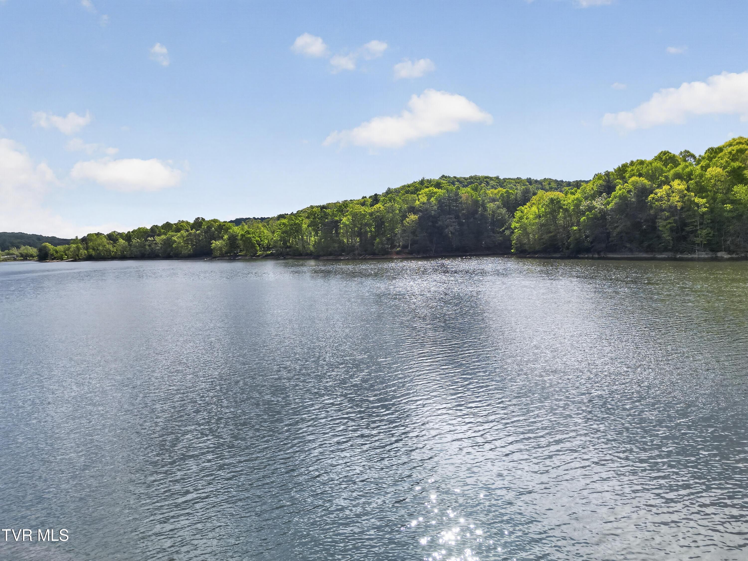 Image 3: 21658-Lankeshore-Dr-Abingdon-VA Cynthia-