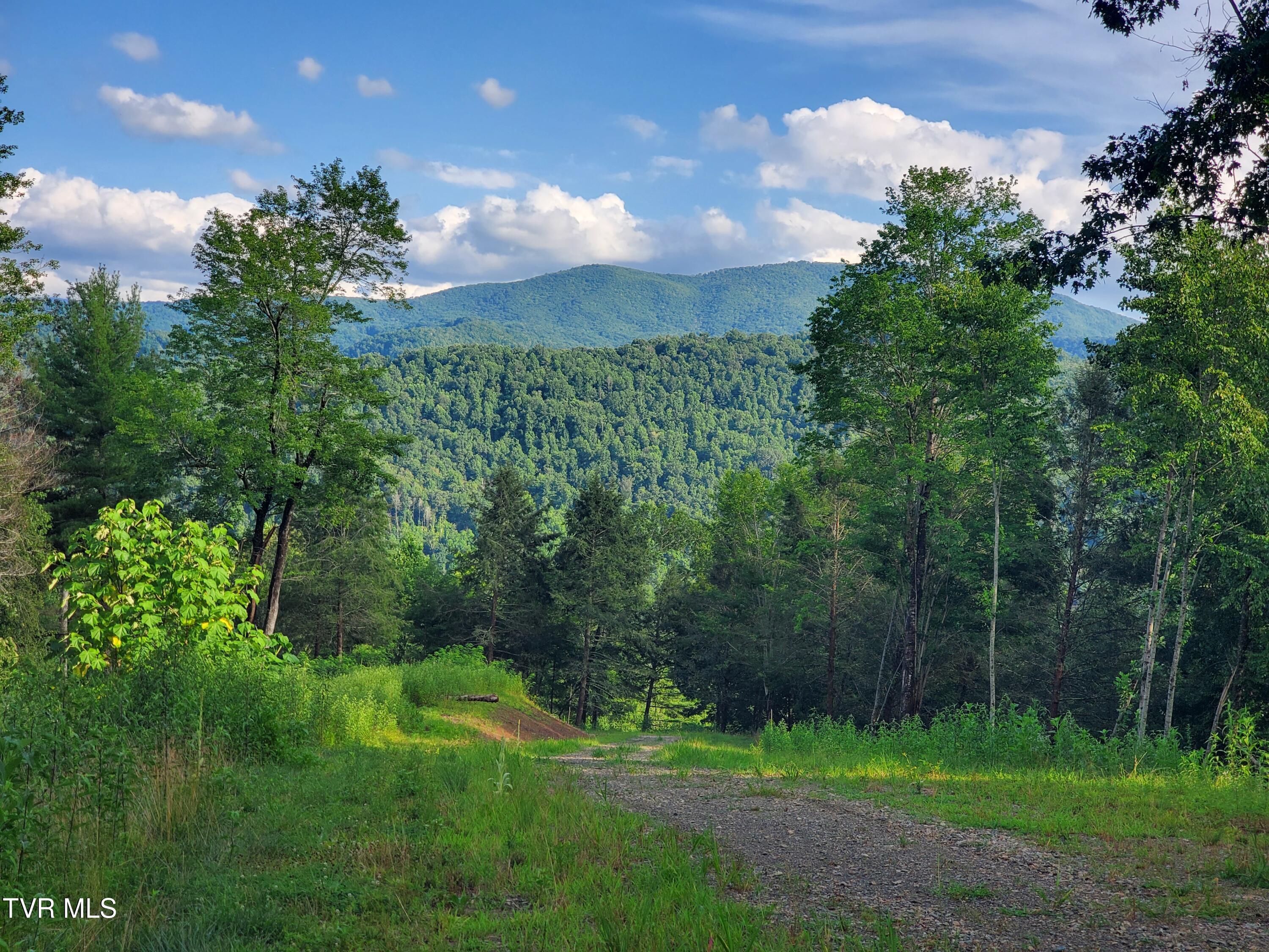 Image 4: 20250716_182127