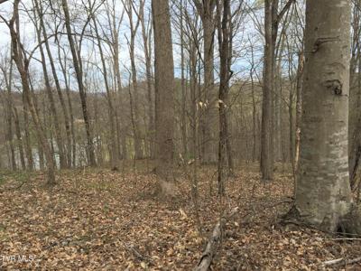 00 Horseshoe Bend Road