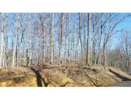 1409 Echota Lane Lot 169