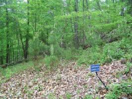 1308 Muskogee Drive Lot 156