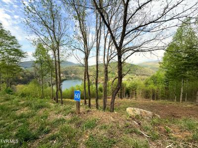 Lot 60 Cowan Town Road
