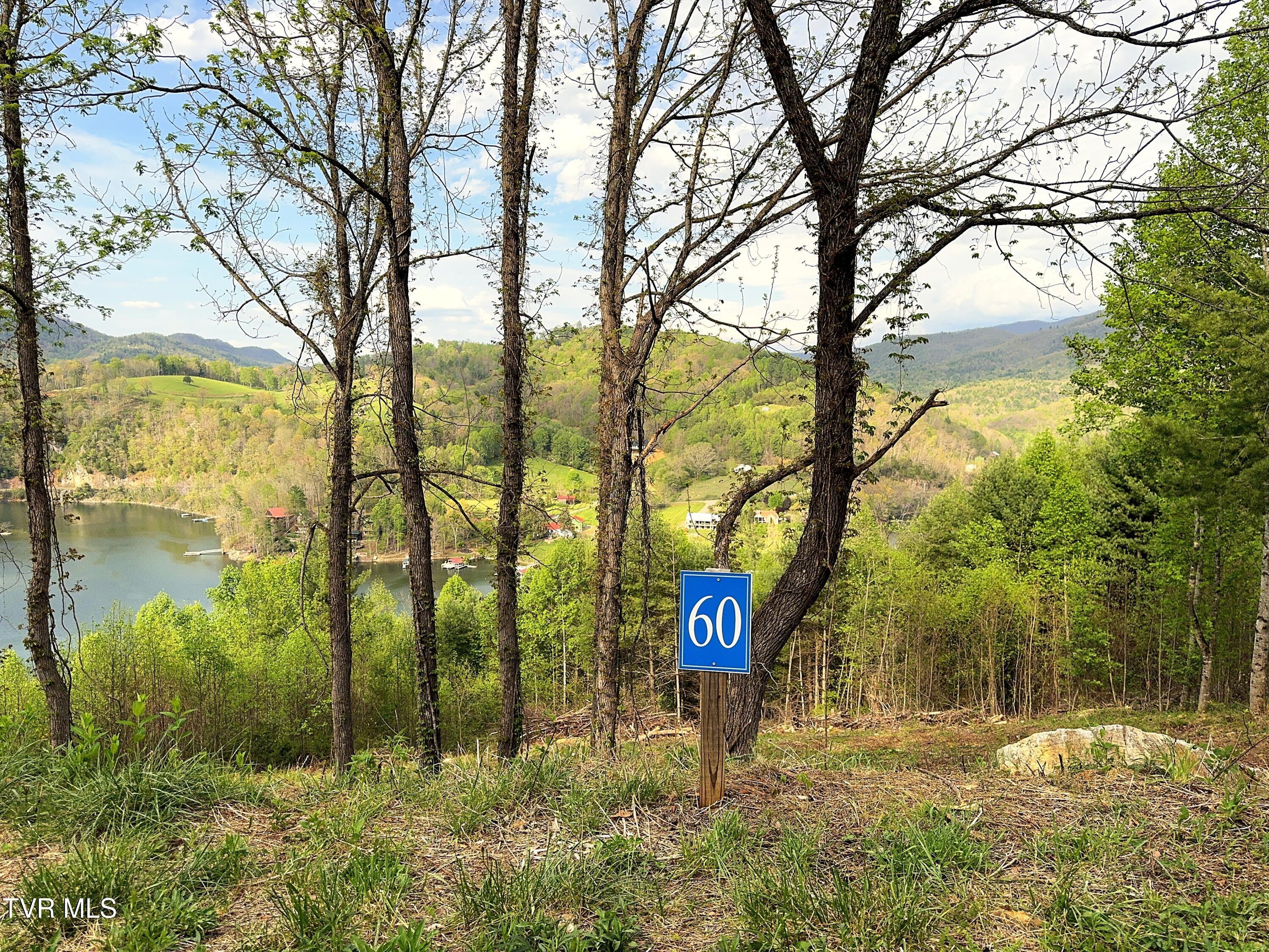 Image 4: Lot 60 (18)