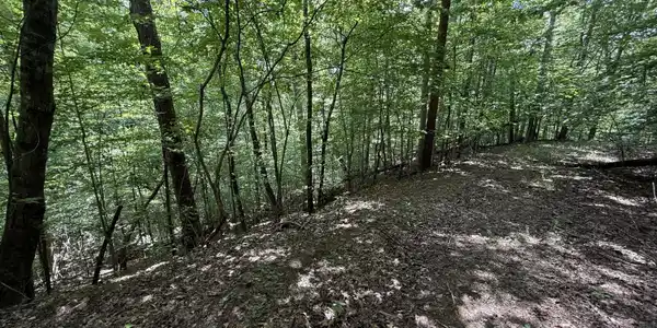 Tbd Mossy Hollow Road
