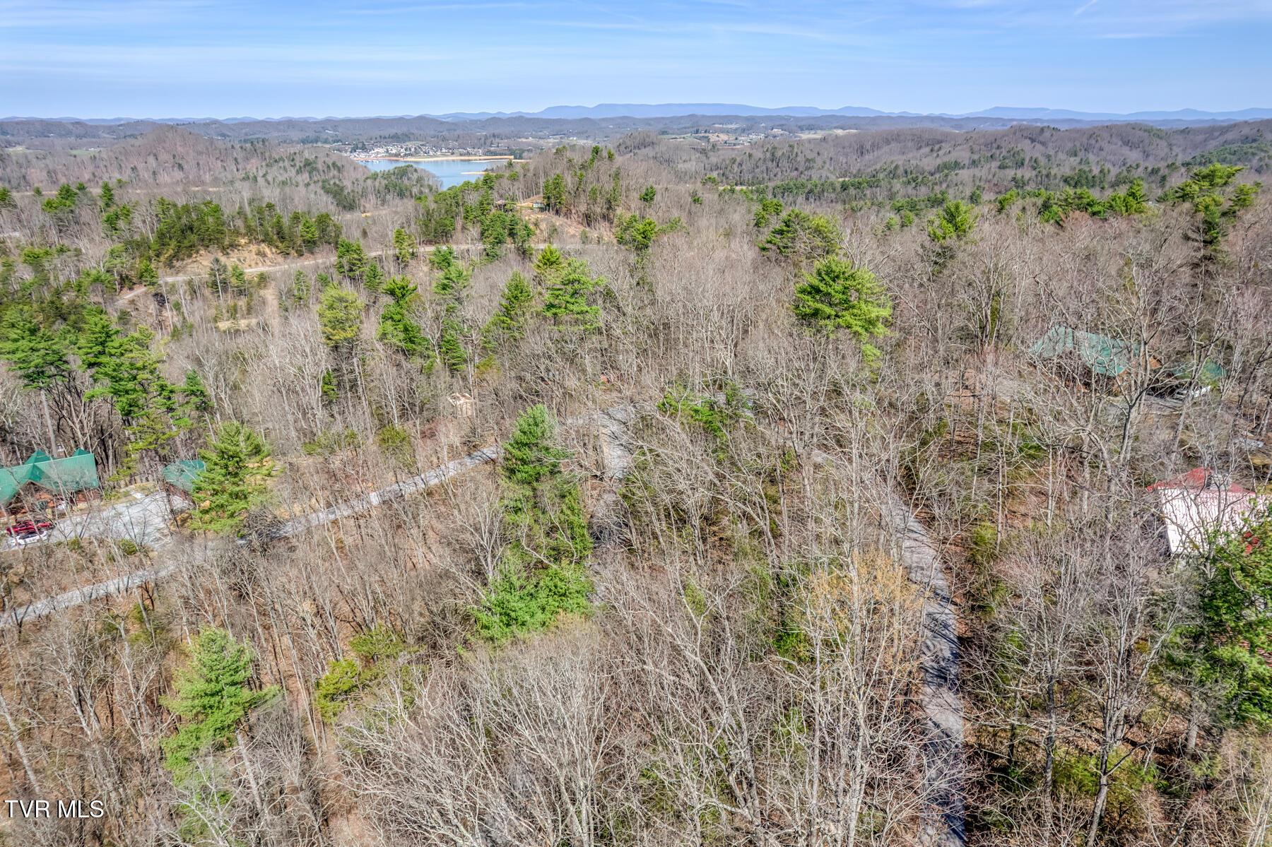 Image 4: 461 Little Switzerland Private Dr-7