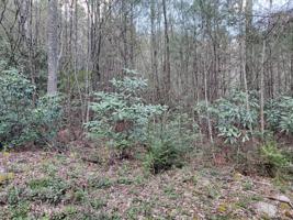 Tbd Hill Street