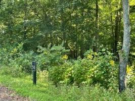 Lot 50 West Of Dry Hill Road