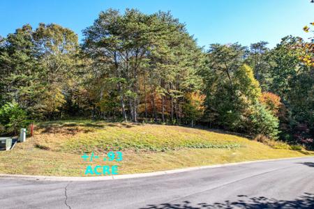 Lot 13 Cove Springs Drive