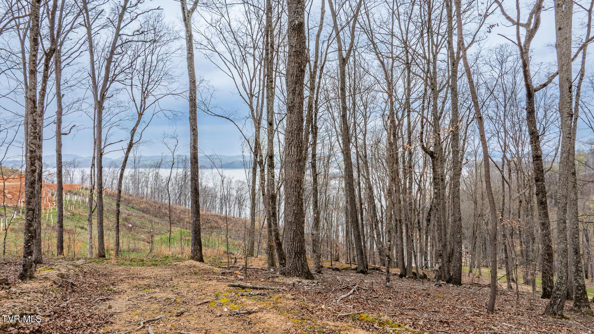 Image 4: dji_fly_20260327_120848_0562_17746283499