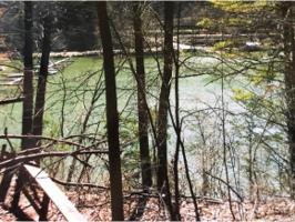 000 Mountain Wynd Dr