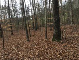 Lot 33 Blount Circle Lot 33