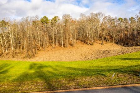 Lot 56 Cow Poke Lane
