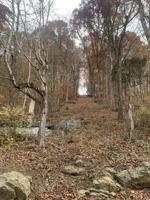 Xxx Hemlock Road