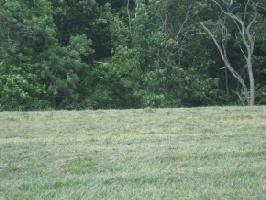 6 Deer Run Court