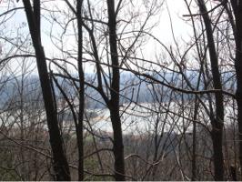 9097 Paradise View Dr Lot 89R