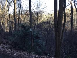 Tbd Banjo Ridge Road