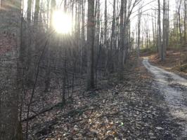 Tbd Banjo Ridge Road
