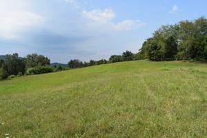Tbd Fall Creek Road
