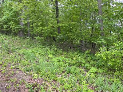 Tbd Lone Oak Dr
