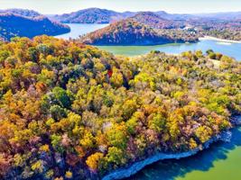 3 Lots Five Oaks Circle