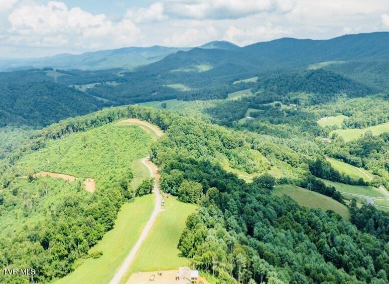 Image 4: IMG_1171 (1)