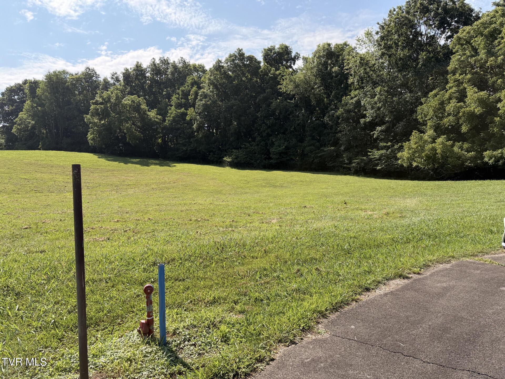 Image 4: lot19forestpointerd_71492_4