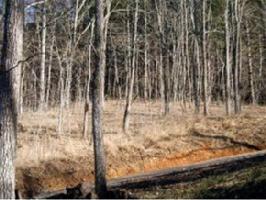lot 25 racoon circle