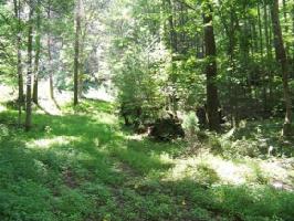 00 Dark Hollow Rd.
