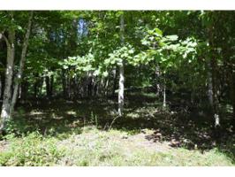 19 Racoon Circle Lot 19