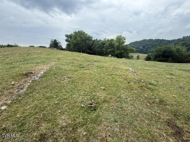 Image 2: IMG_8036