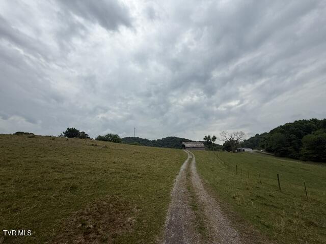 Image 4: IMG_8033