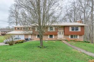 313 Lonewood Drive