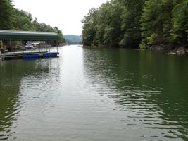 Tbd Cove Ridge Road