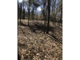 Tbd Gottland Shoals Road