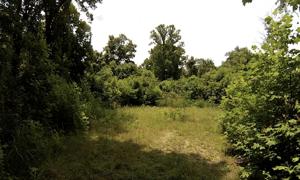 1213 Mays Ridge Road