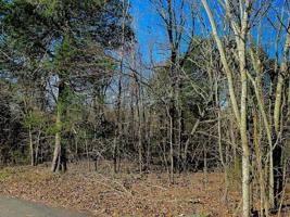 Tbd Sugar Hollow Trail