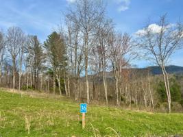 Lot 36 Cowan Town Road