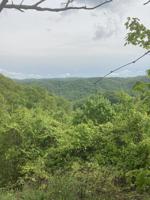 Tbd Tulip Poplar Trail Extension